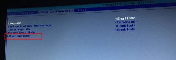 Boot Options Boot Options