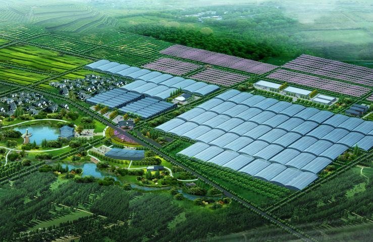 TP-LINK商业AP助力南京溪田农业生态园实现无线覆盖 - 案例详情