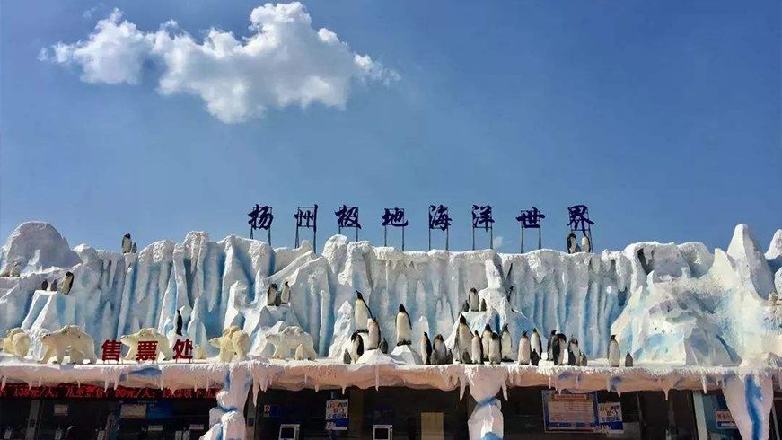 TP-LINK商用AP助扬州极地海洋世界打造优质无线网络 - 案例详情