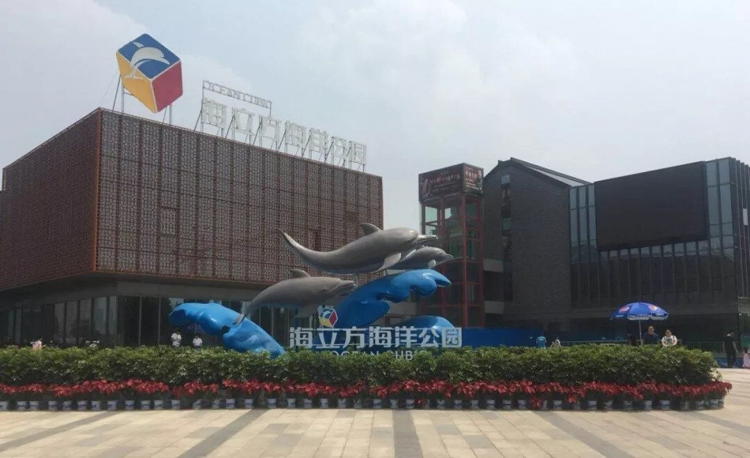TP-LINK商用助力山西海立方海洋公园打造优质无线网络 - 案例详情