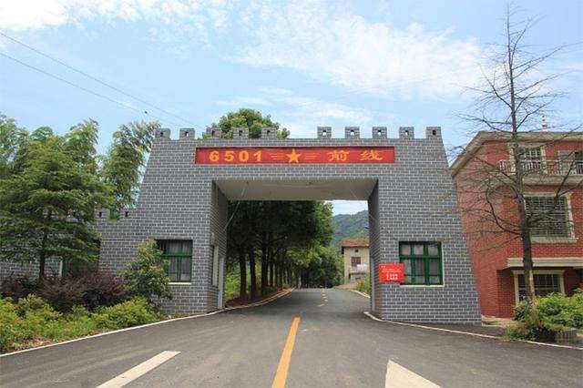 TP-LINK安防助力临湘6501景区构建稳固安防监控网络 - 案例详情