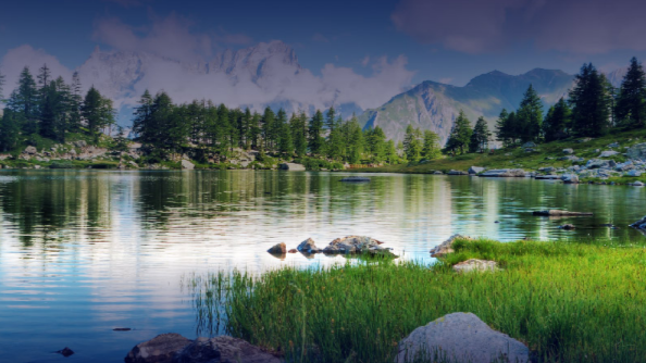 banner