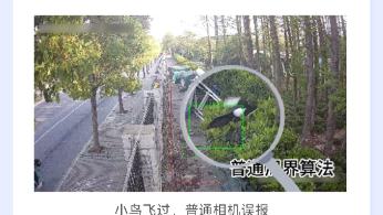 校园围墙防入侵场景方案